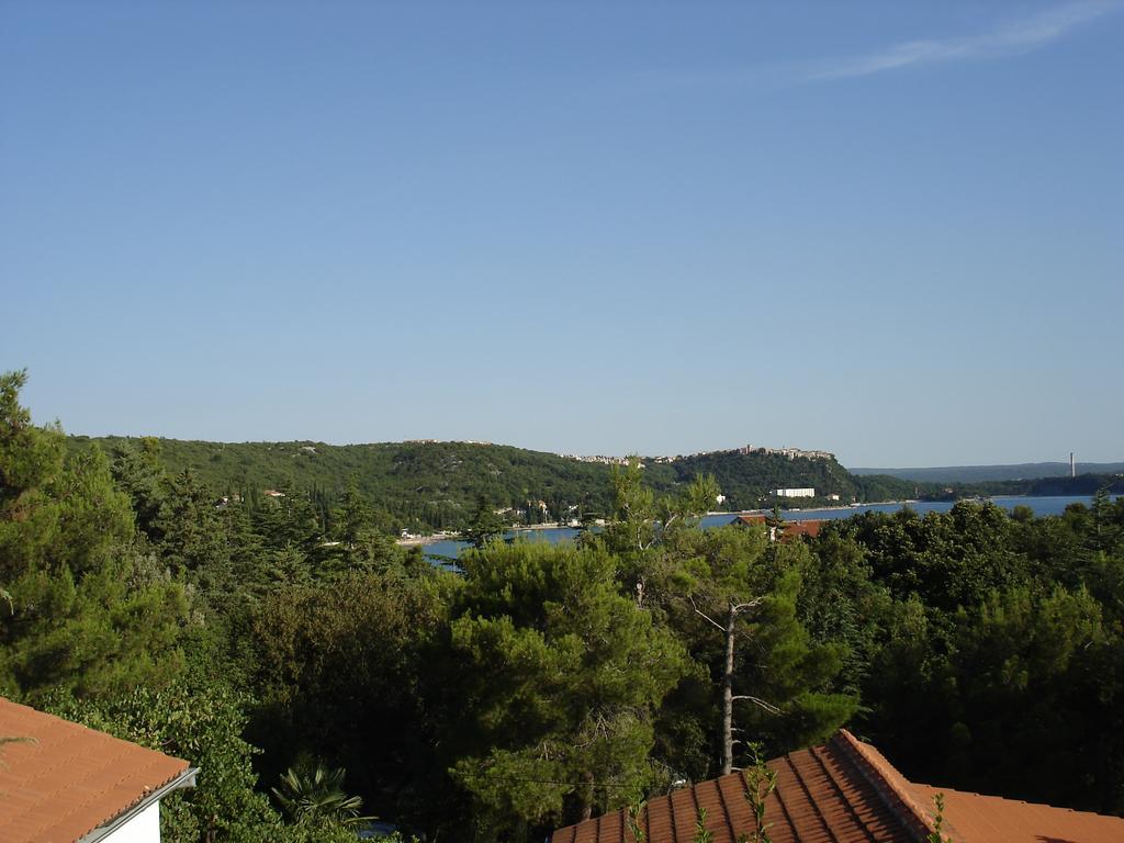 Apartman Kondic Омишаль Номер фото